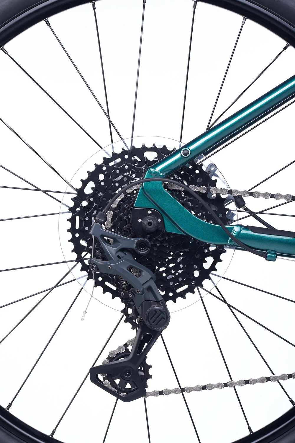 ACADEMY S-grade Gravel 5 24" Forest (2026) - Image 5