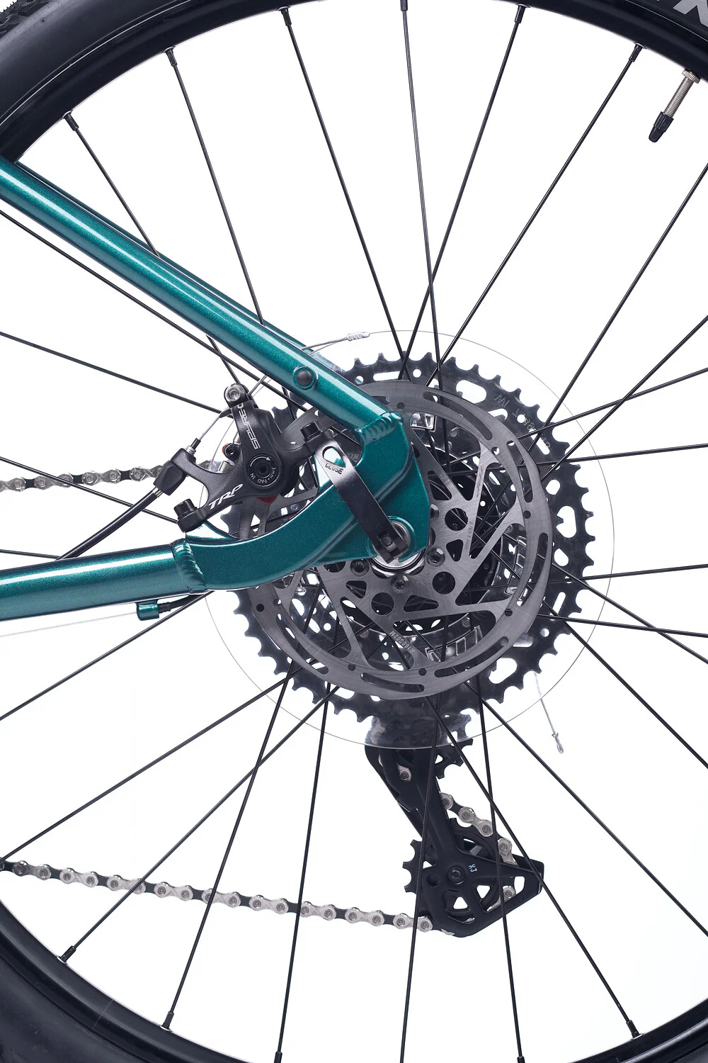 ACADEMY S-grade Gravel 5 24" Forest (2026) - Image 6