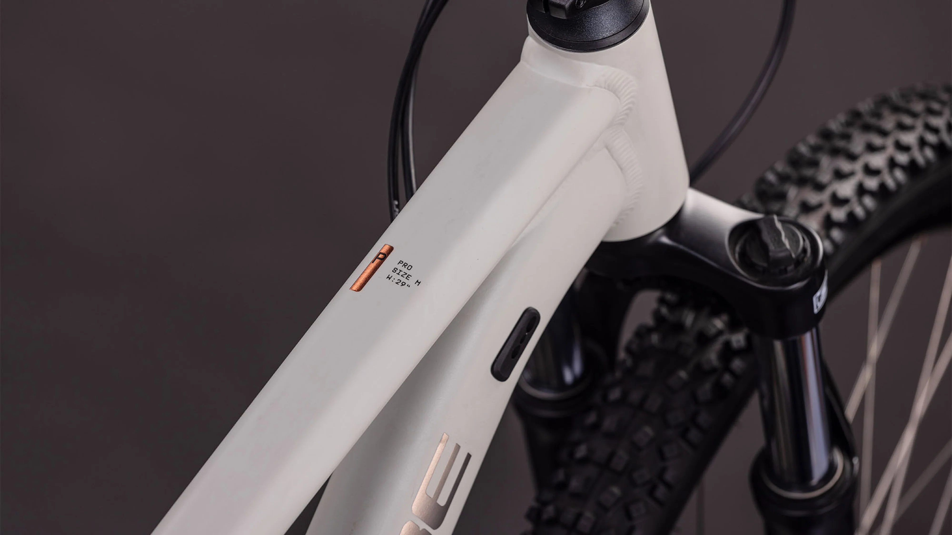 Cube Aim Pro greige´n´titan (2026) - Image 2