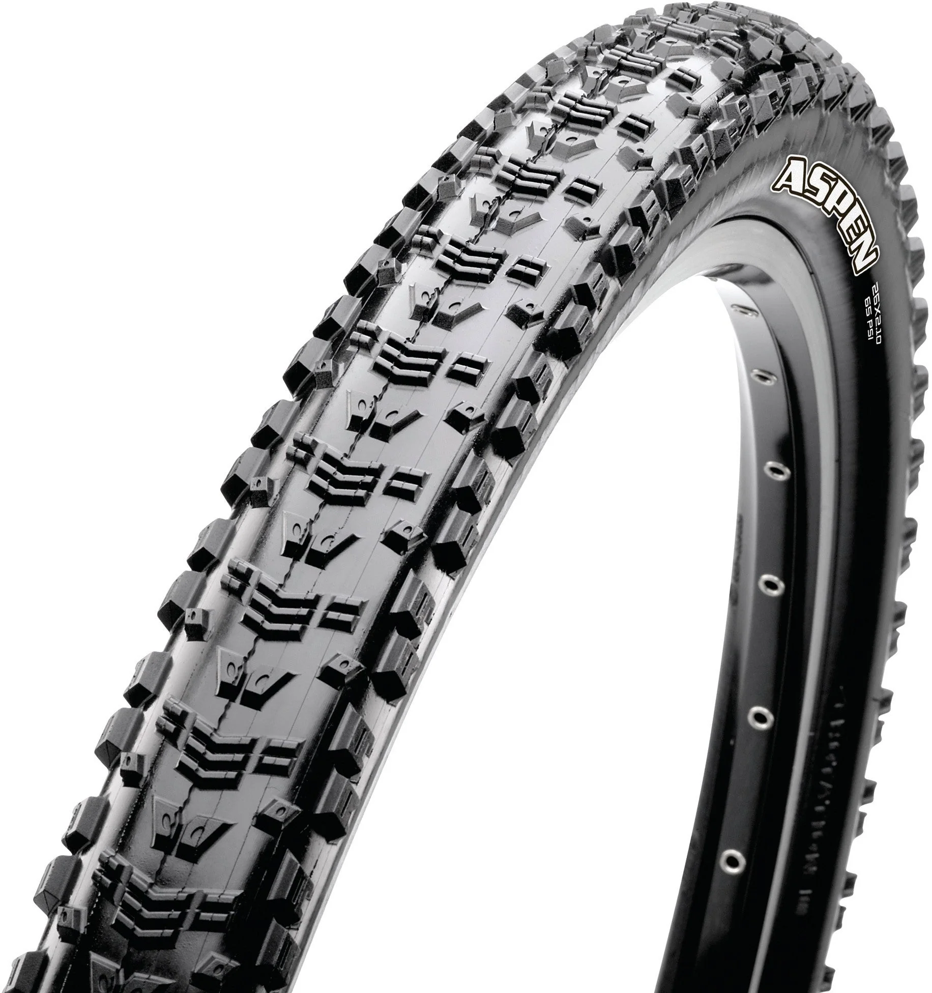 Maxxis Aspen Folding Tyre 29x2.25" Dual EXO TR black
